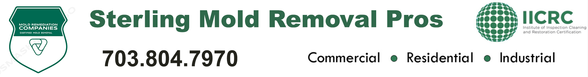 Sterling Mold Removal Pros